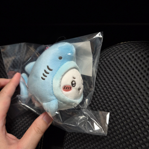 상어 치이카와 수영장 마스코트 이미지