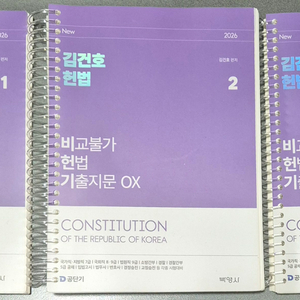 2026 김건호 헌법 비헌기 이미지
