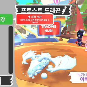 입양하세요 얼드 팝니다 이미지