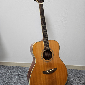 GWOOD AG-100 어쿠스틱 기타 (긱백 포함) 이미지