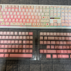 Aula 독거미 F108 이미지