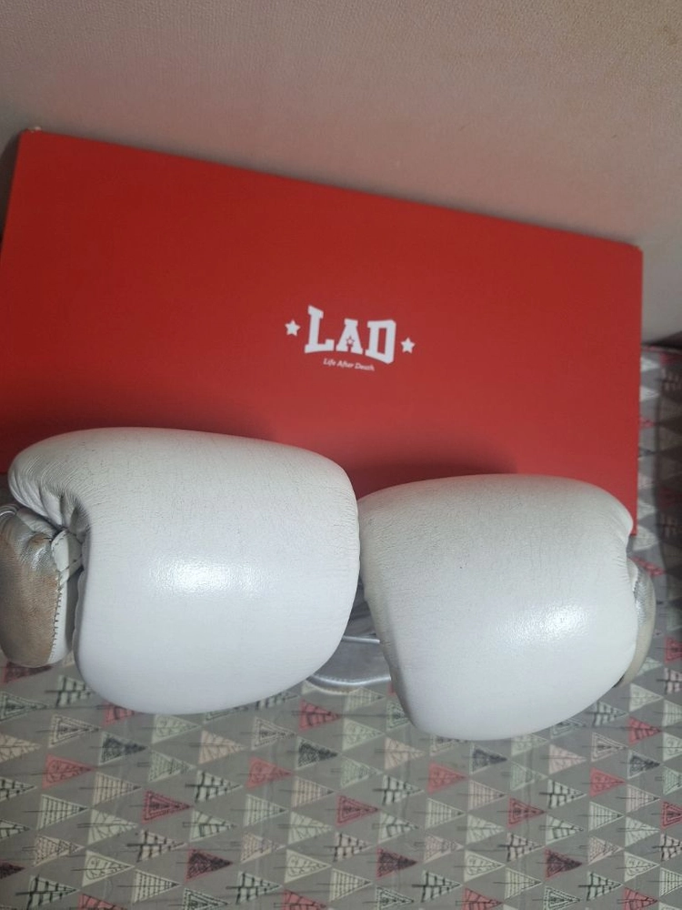 라드(LAD) 복싱글러브 10온스 팝니다. 이미지