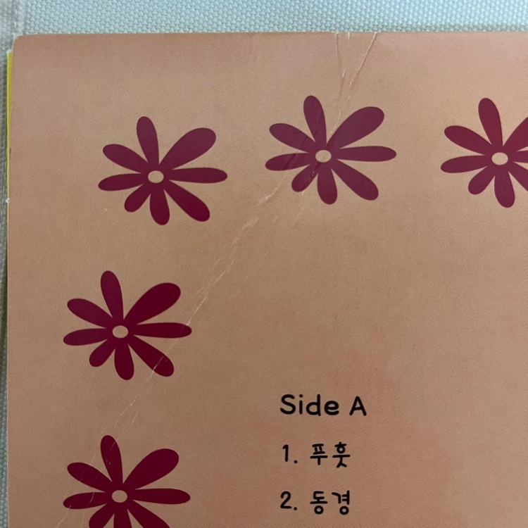 언니네이발관 1집 lp 이미지