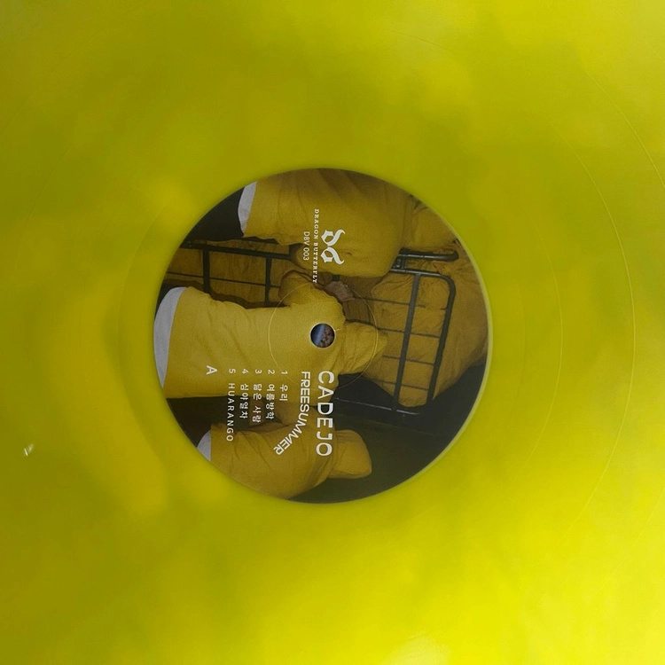 까데호 freesummer lp 이미지