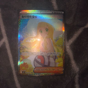 릴리에의 결심 sar 이미지