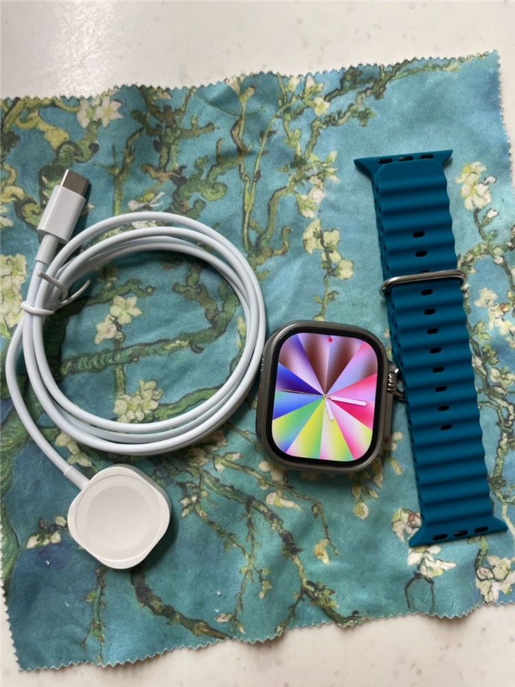 애플워치 울트라2 내추럴 49mm S급 이미지