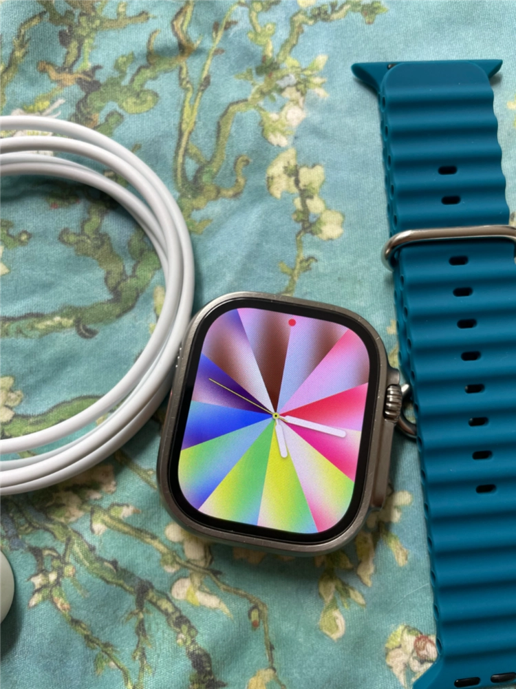 애플워치 울트라2 내추럴 49mm S급 이미지