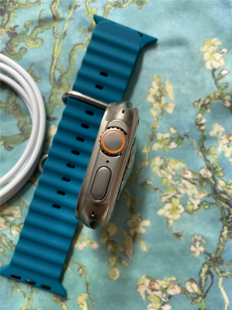 애플워치 울트라2 내추럴 49mm S급 이미지