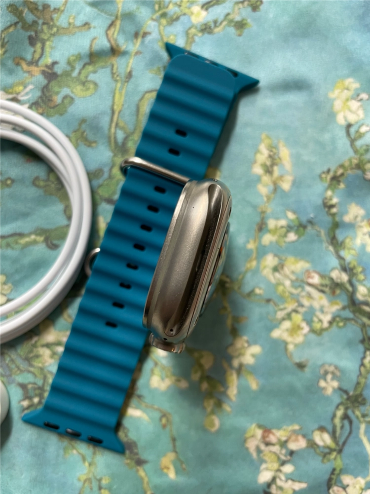 애플워치 울트라2 내추럴 49mm S급 이미지