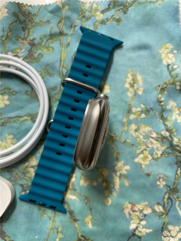애플워치 울트라2 내추럴 49mm S급 이미지