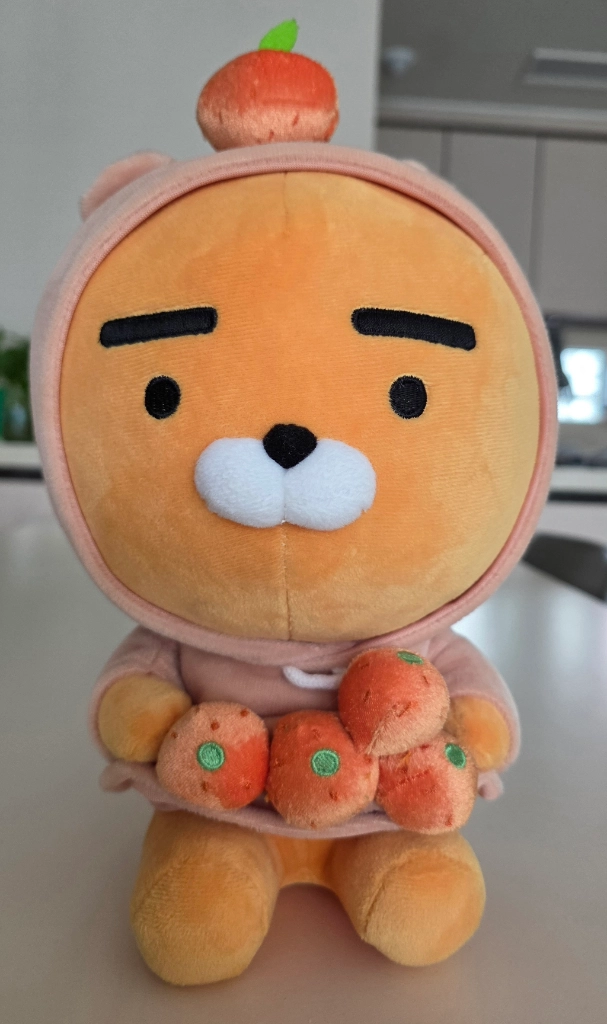 카카오프렌즈 제주감귤인형 이미지