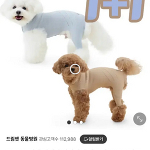 펫닥 브이랩 파텔라 강아지 슬개골 보호 의류 xs 1+1(택포) 이미지