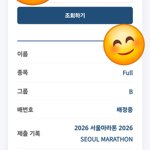 jtbc마라톤 풀코스 b그룹(남자) 양도합니다 이미지