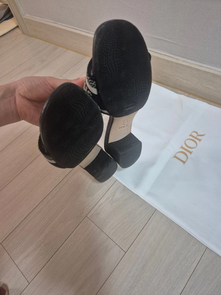 디올 디웨이 뮬 37 이미지