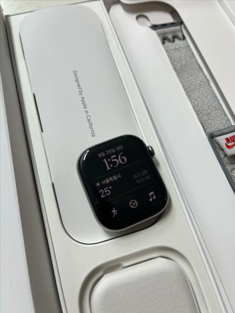 애플워치10티타늄 46mm 내추럴 SS급 애플케어+ 이미지