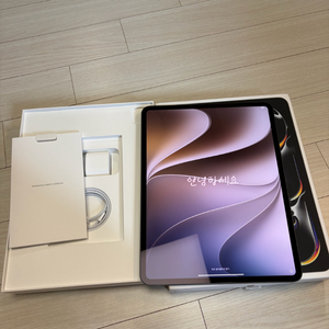 S급 ) 아이패드 프로 M4 13인치 256gb 스페이스블랙 이미지