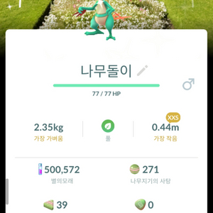 포켓몬고 나무돌이 배경로치 XXS 이미지