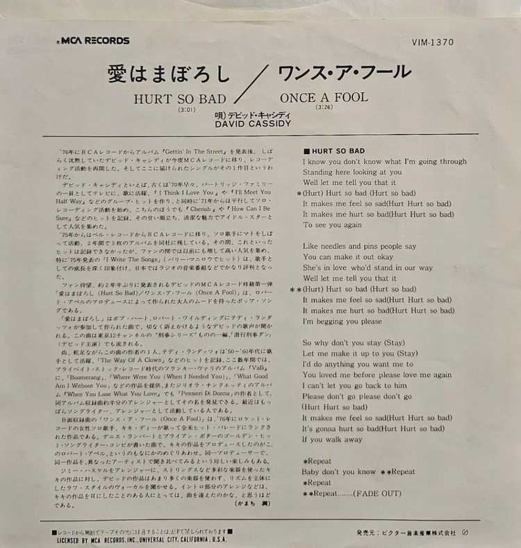 데이비드 캐시디 싱글 앨범 HURT SO BAD LP (7인치) 이미지