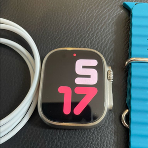 애플워치 울트라2 내추럴 49mm 이미지