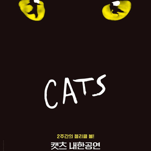 대구 VIP꿀자리 모음) 뮤지컬 캣츠 CATS 대구 티켓 양도 이미지