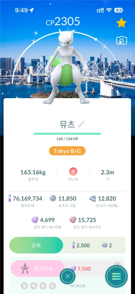 포켓몬고 도쿄 로케이션이로치(로케로치) 뮤츠 - 안심되는 중고거래