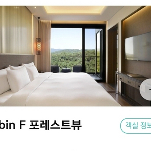 **50%**10월31일토아난티코브캐빈F포레스트뷰숙박권.조식포함 이미지
