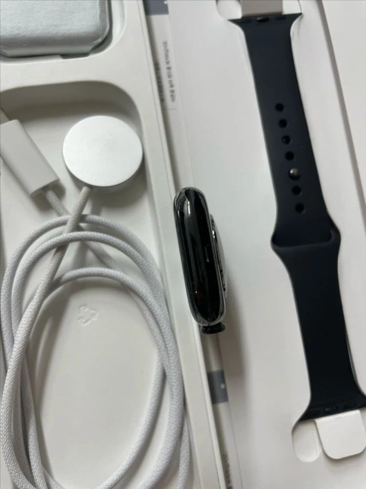 애플워치10티타늄 46mm 셀룰러 SS급 이미지