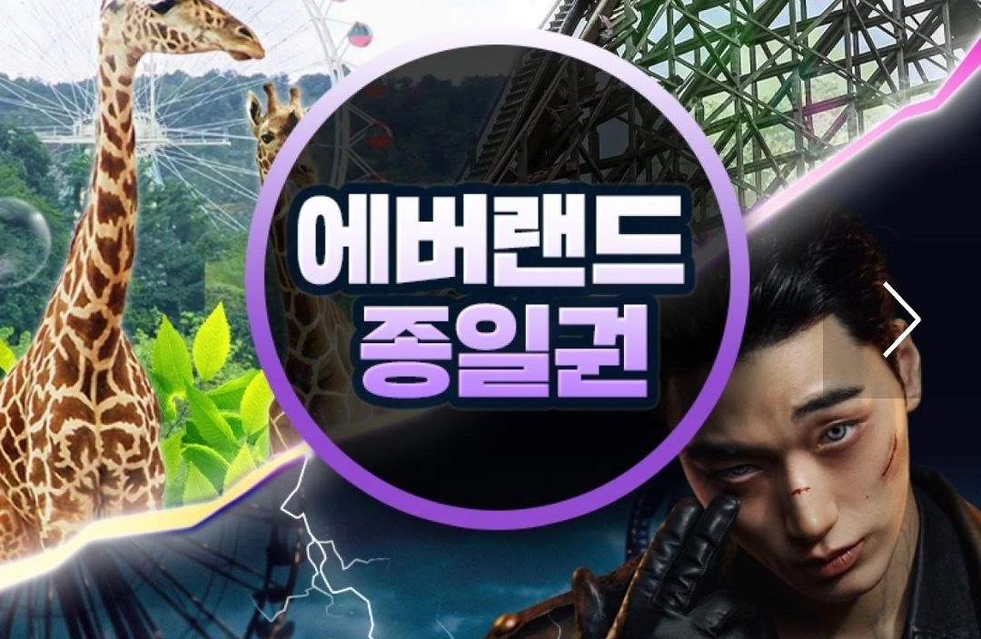에버랜드 종일권 자유이용권 11월 - 안심되는 중고거래