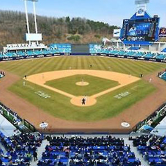 25일 삼성 야구경기 티켓 1차전 대구 이미지