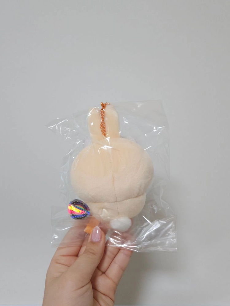 치이카와 흥칫뿡 뿡우사기 이미지