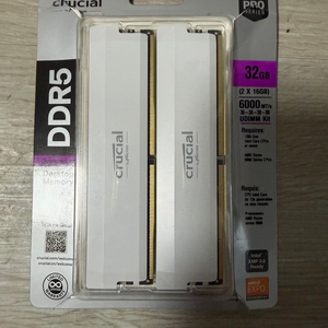 마이크론 Crucial DDR5-6000 CL36 PRO Overclocking White(32GB(16x2)) 이미지