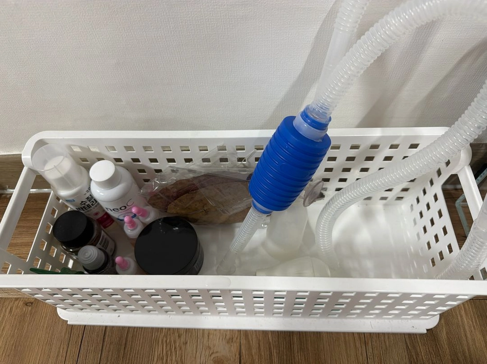 베타 키우기 세트 이미지