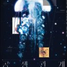 윤마치 콘서트 스테이지 꿀좌석 최고 이미지