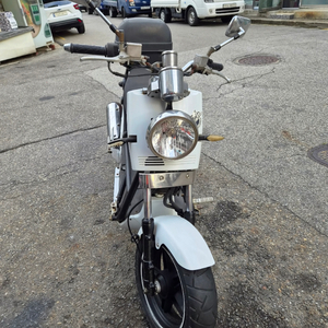 비본125cc 이미지