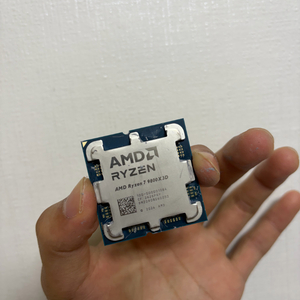 9800X3D 이미지