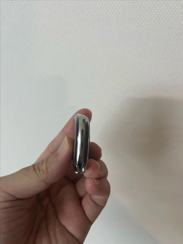 애플워치10에르메스 46mm 실버 SS급 이미지