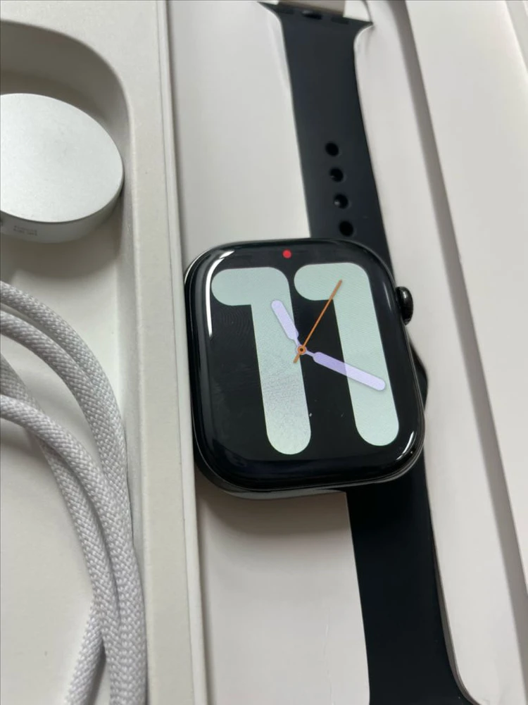 애플워치10티타늄 46mm 셀룰러 SS급 이미지