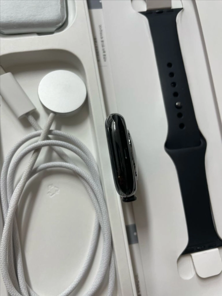 애플워치10티타늄 46mm 셀룰러 SS급 이미지