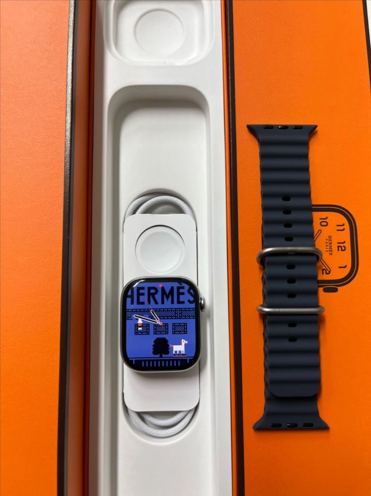 애플워치10에르메스 46mm SSS급 이미지