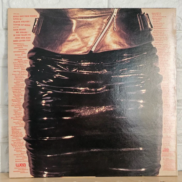 Alannah Myles (앨라나 마일즈) LP 이미지