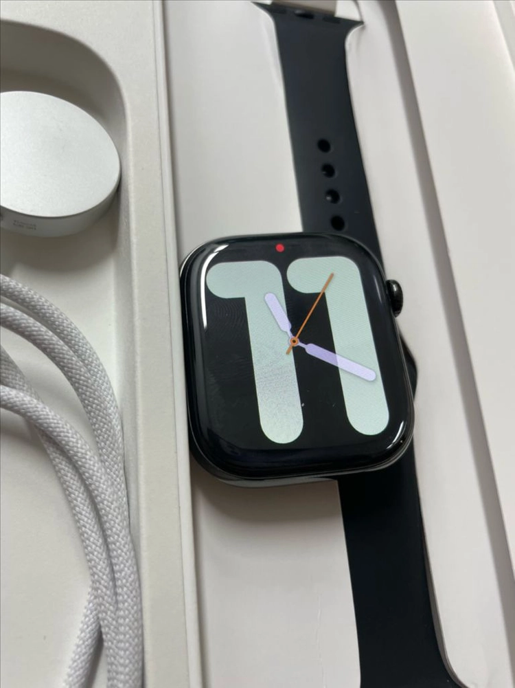 애플워치10티타늄 46mm 셀룰러 SS급 이미지
