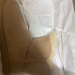 (W) 어그 미니 베일리 버튼 2 부츠 체스트넛 240 이미지