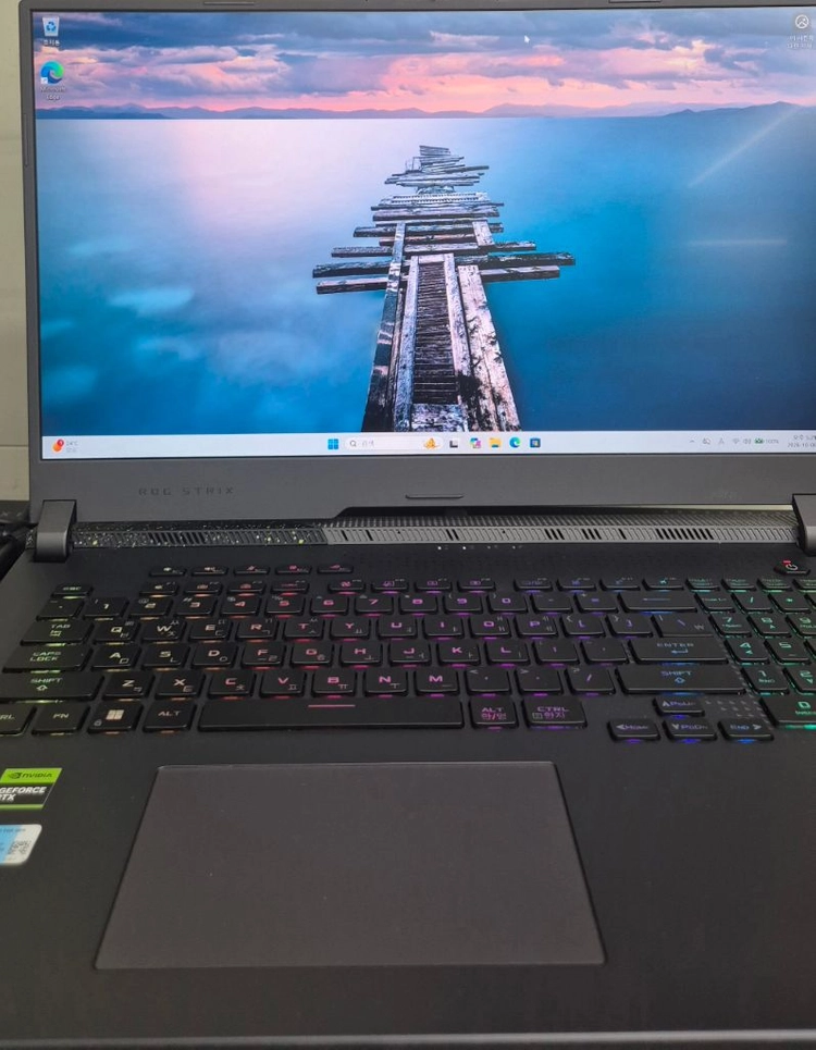 게이밍 노트북 ASUS ROG Strix G17 G713PV (7945HX / 16GB / 1TB) - 안심되는 중고거래
