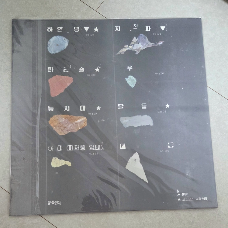 공중도둑-공중도덕 2020년 다크그린 한정판 LP 판매 이미지