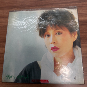 윤시내 83년 LP 사랑의 시 이별의 길목 이미지