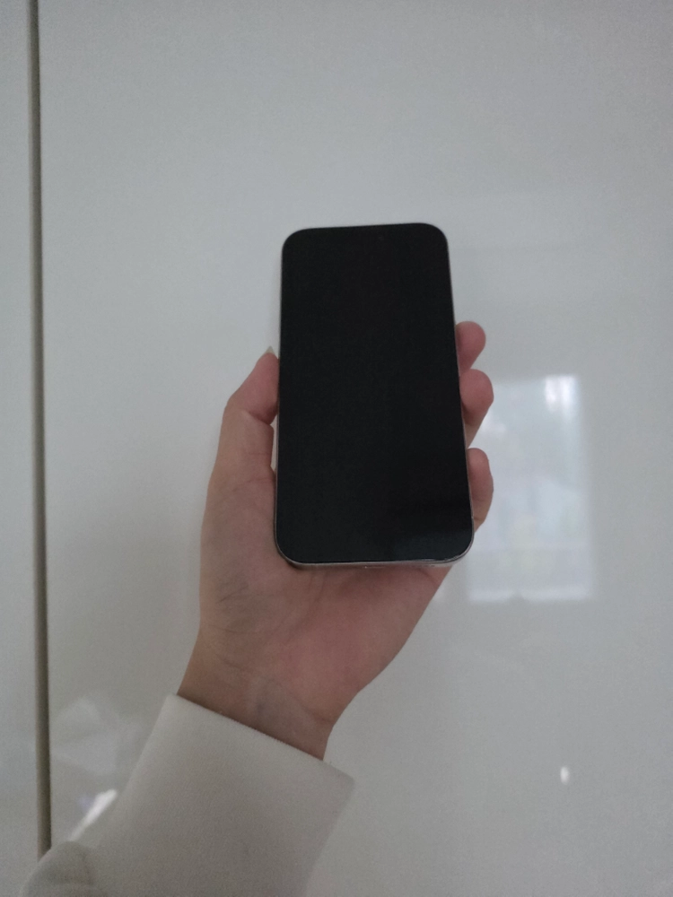 아이폰15프로 1TB 이미지