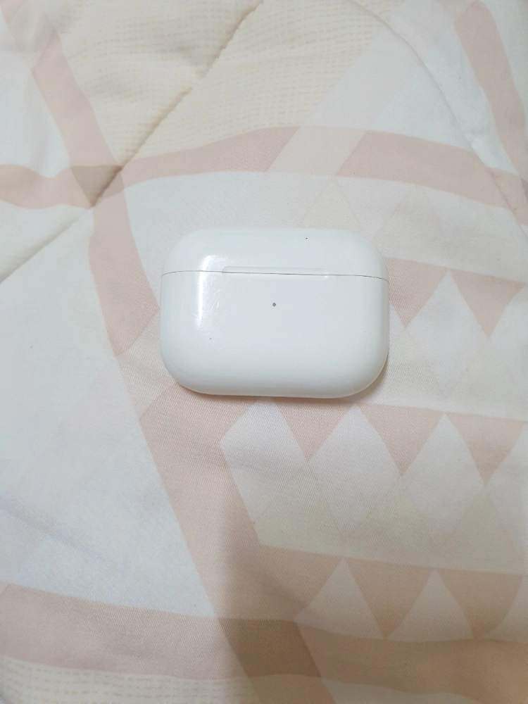 에어팟 프로 1세대 본체 이미지