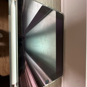 애플 아이패드 미니5 WIFI 256GB 이미지