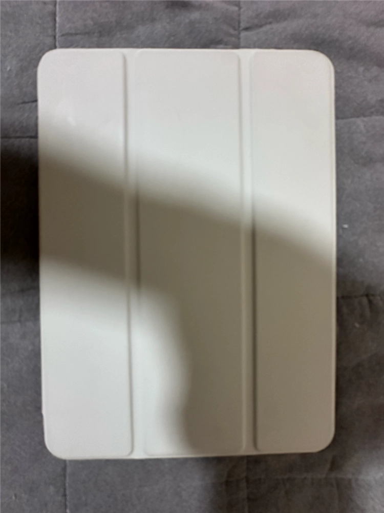 애플 아이패드 미니5 WIFI 256GB 이미지