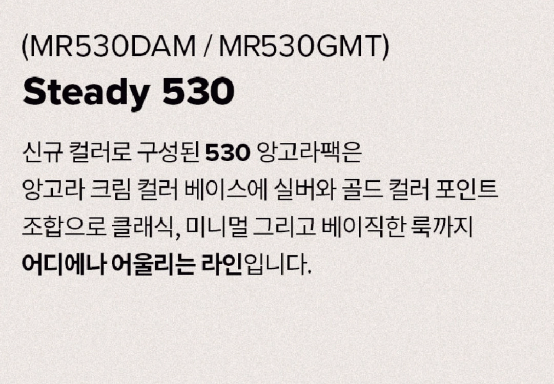 뉴발란스 530 아리조나 290mm (NBPDGS113S / MR530GMT SILVER) 이미지